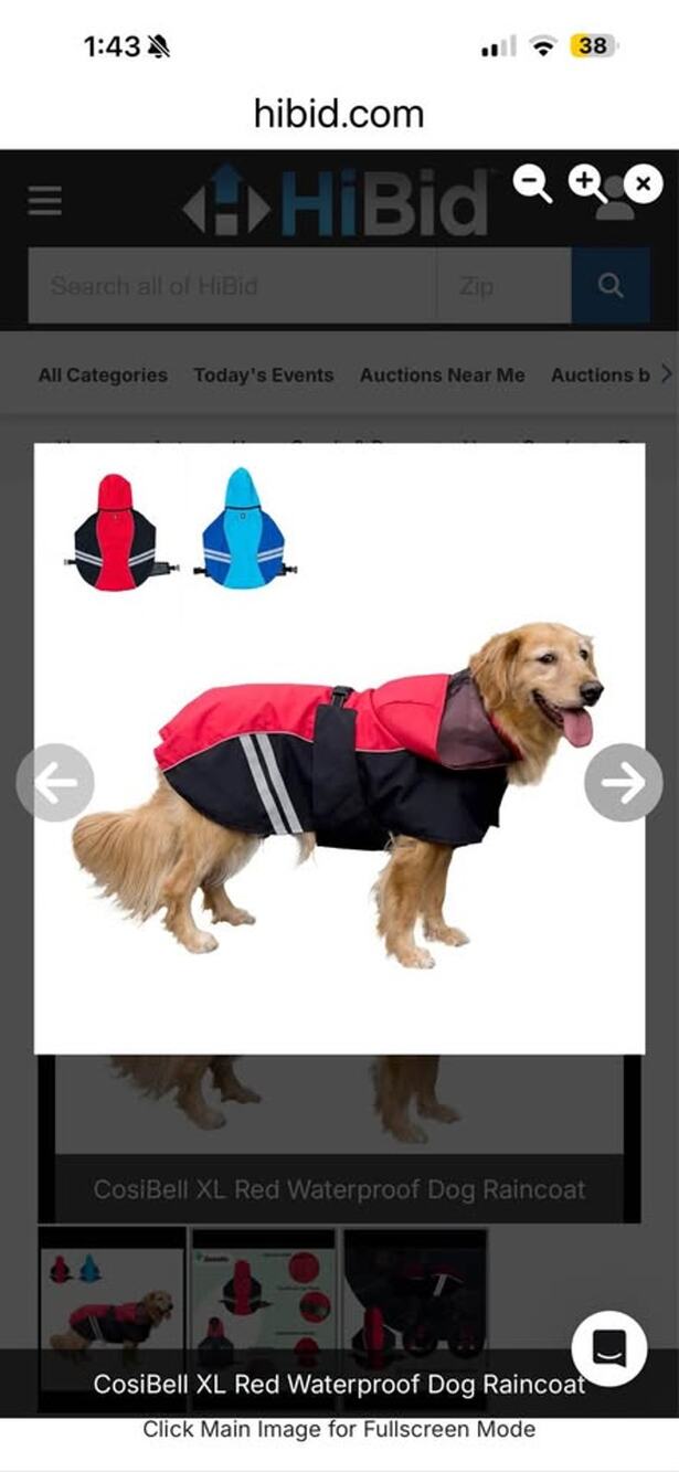 CosiBell XL Red Waterproof Dog Raincoat